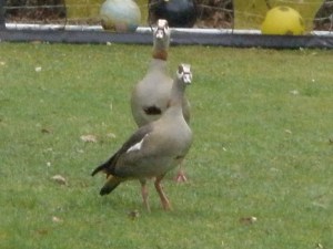 tout compte fait, on a soif !!!