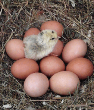 Capture d’écran 2013-04-08 à 15.18.59