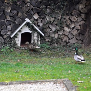 tiens, une joile maison ...